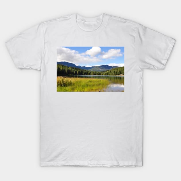 Hidden Lake T-Shirt by KirtTisdale